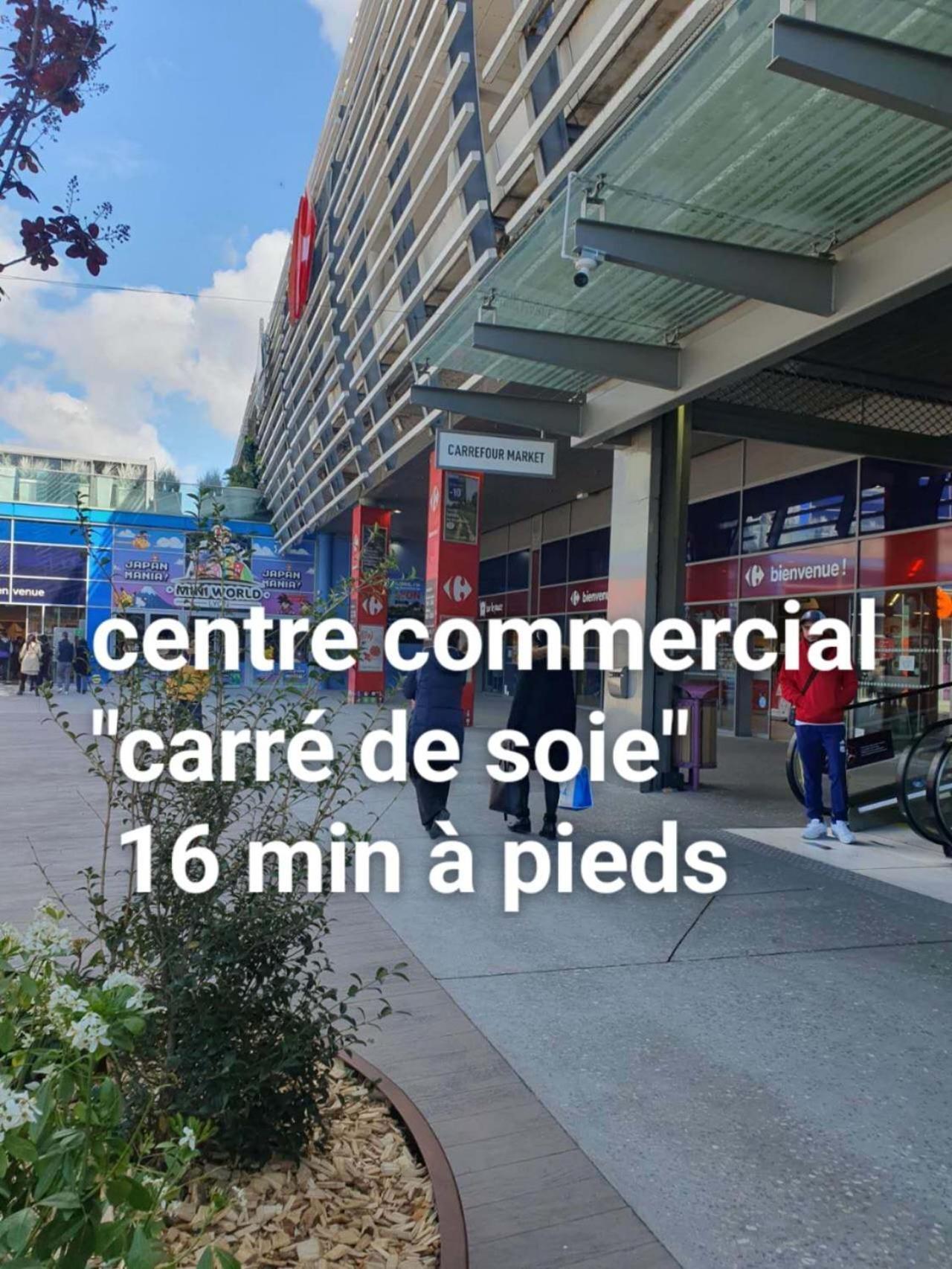 Medipole T2 Avec Un Garage Gratuit Sur Place, 16Min A Centre Ville Lyon En Metro A วีเลอร์บาน ภายนอก รูปภาพ